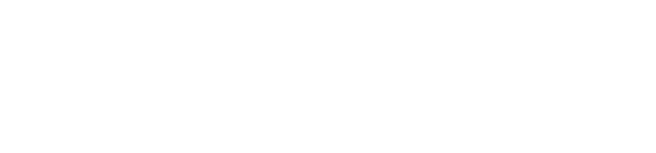 Mega Build Up, IT and AI Solutions